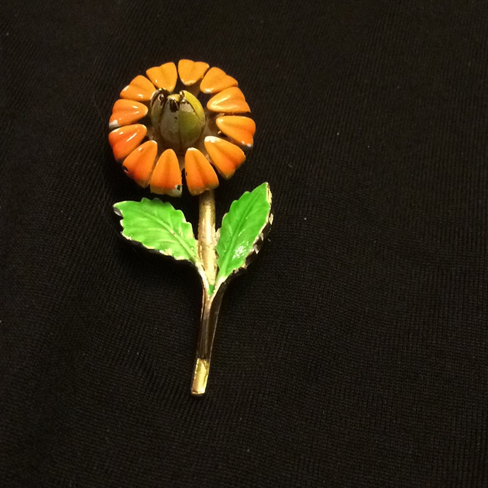 Vintage enamel 1960’s pin